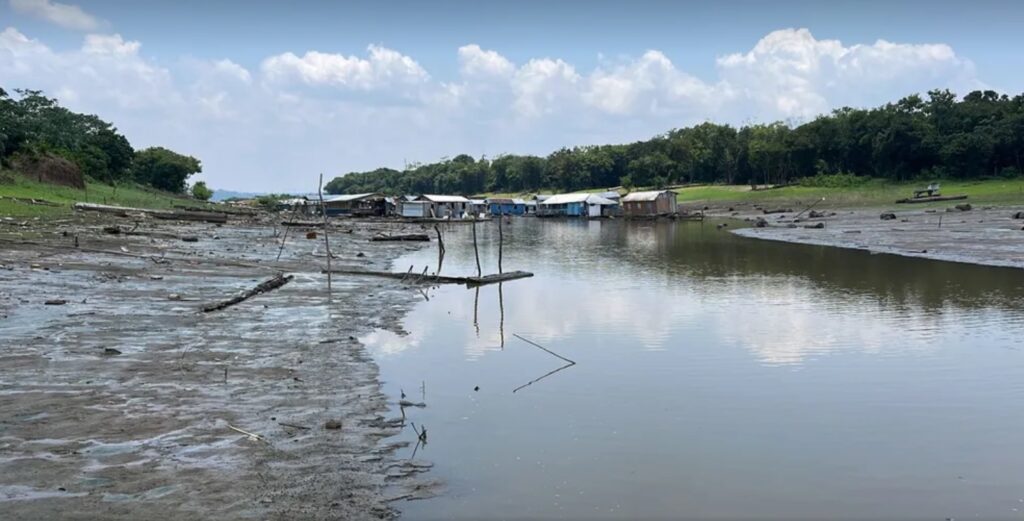 Comunidade do Catalão, em Iranduba, sofre com a seca no Amazonas — Foto: Gato Júnior/Rede Amazônica