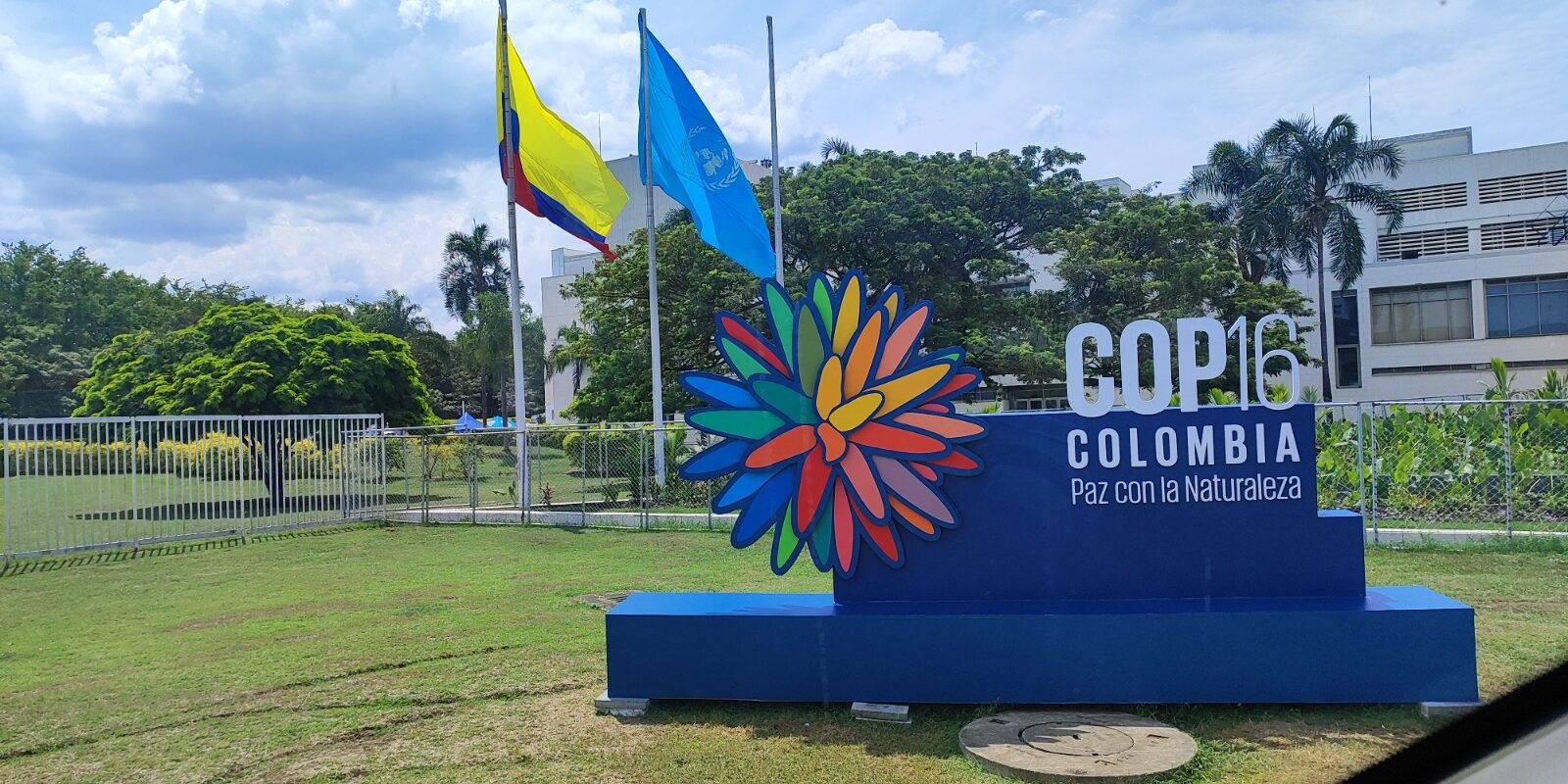 COP16: Reivindicações e manifestos marcam as ruas de Cali, durante a Conferência da Biodiversidade