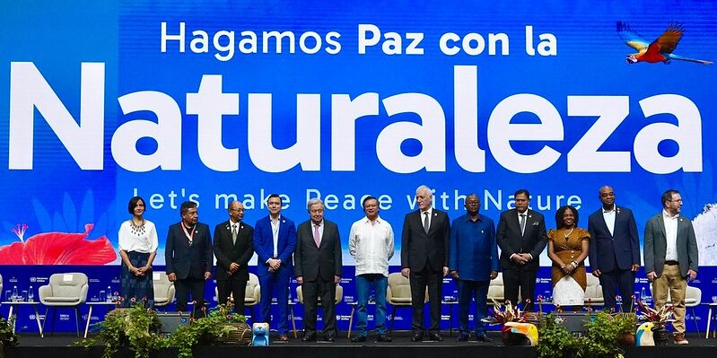 COP16: Financiamento para proteção da biodiversidade foi o tema central de plenária com presidentes e representantes de 190 Países