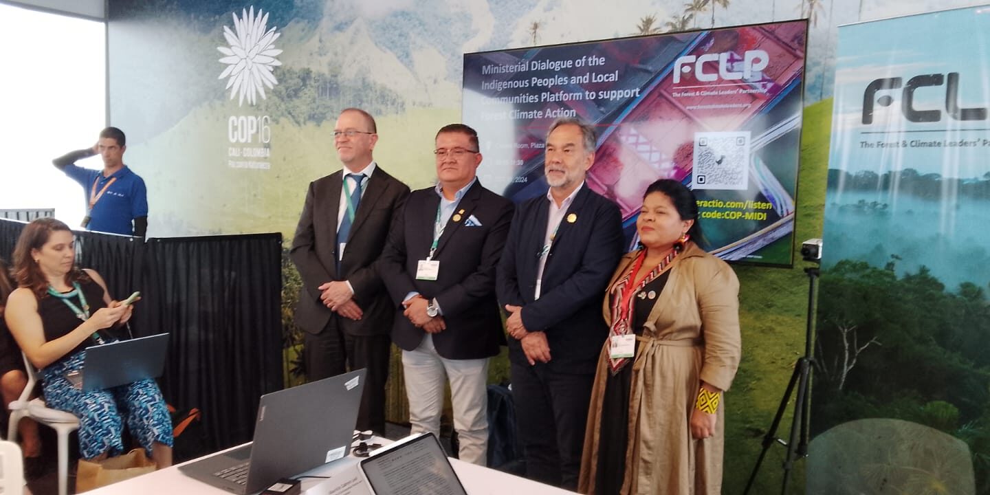 COP16: Frente de negociação financeira continua sob impasse