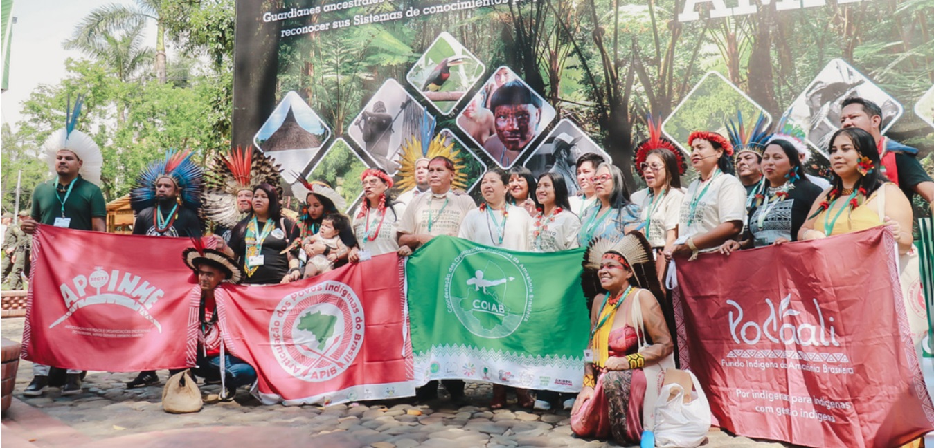COP 16: Coiab faz panorama sobre participação dos povos indígenas na 16ª Conferência das Partes sobre diversidade Biológica