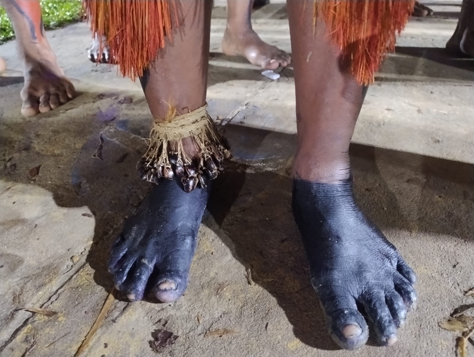 Resistência Indígena e Justiça Climática: 11º FIE Reafirma o Compromisso com a Amazônia e seus Povos