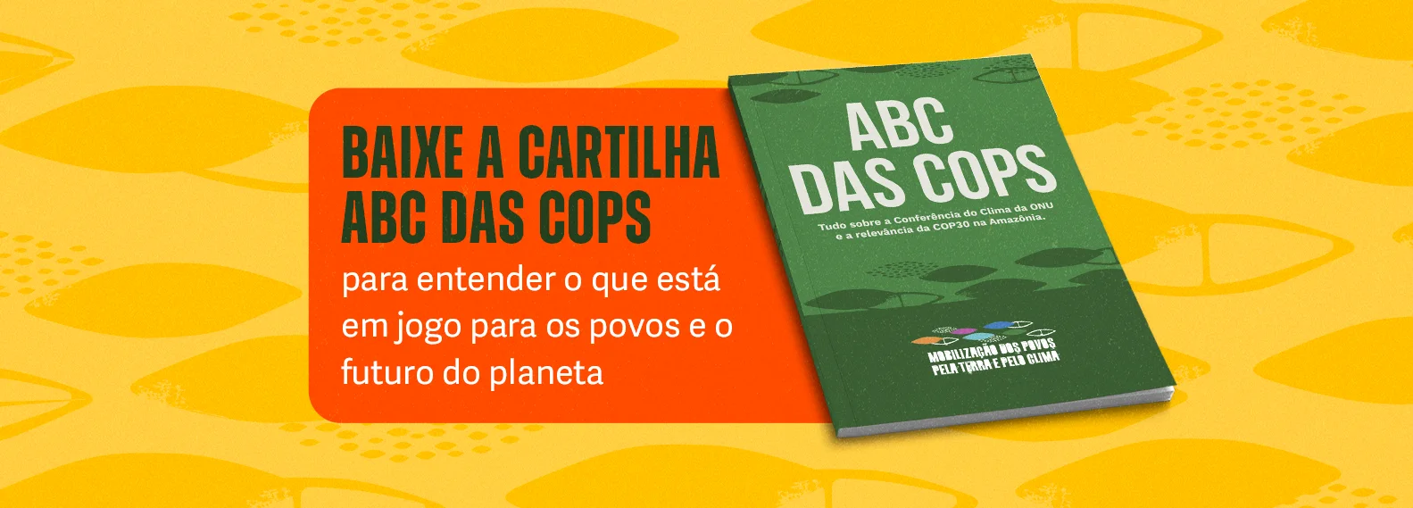 repam-cop30-bn02