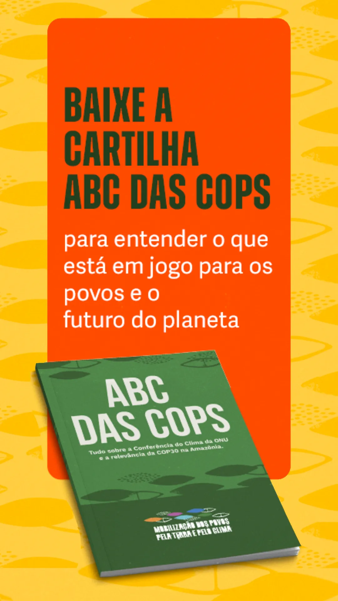 repam-cop30-bn04-mb