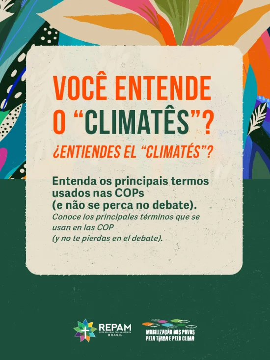 repam-cop30-post (1)