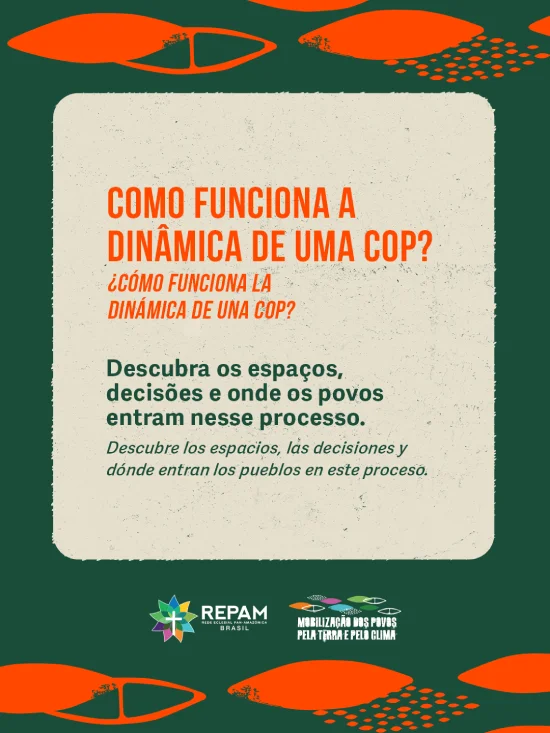 repam-cop30-post (2)