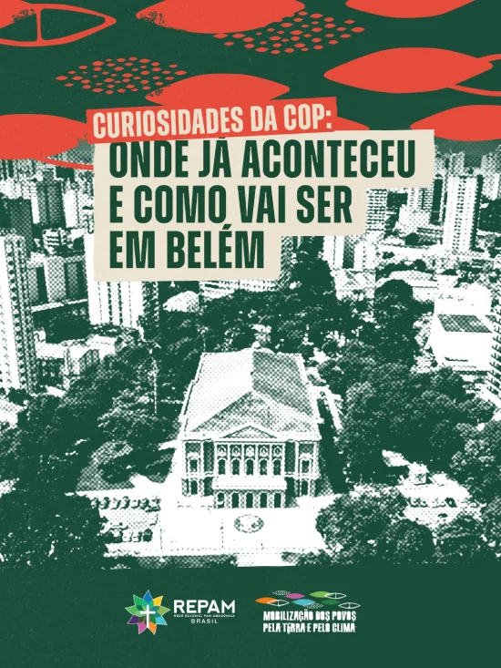repam-cop30-post (3)