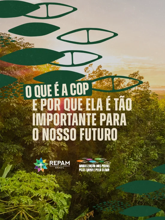 repam-cop30-post (5)
