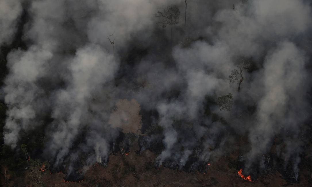 90% dos focos de incêndio estão na Amazônia e no Cerrado, aponta  levantamento - Mídia NINJA