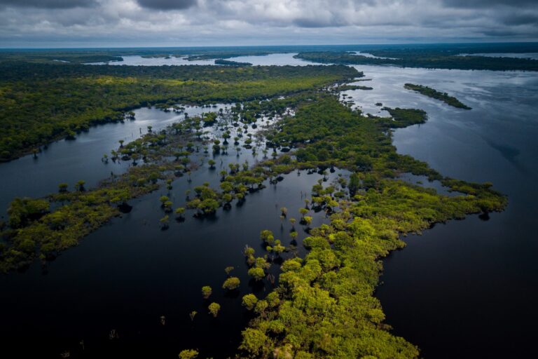 Amazônia REPAM Laudato Si