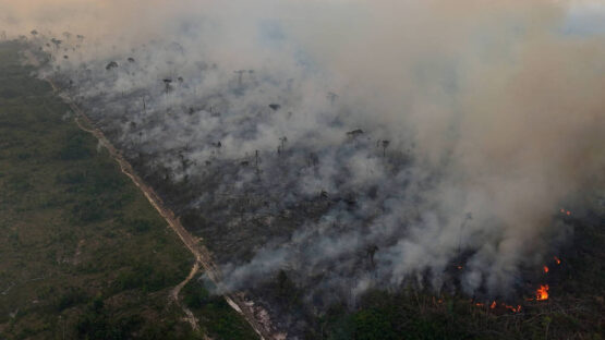 Incêndio às margens da BR-319, em Humaitá (AM) - Bruno Kelly/ Reuters