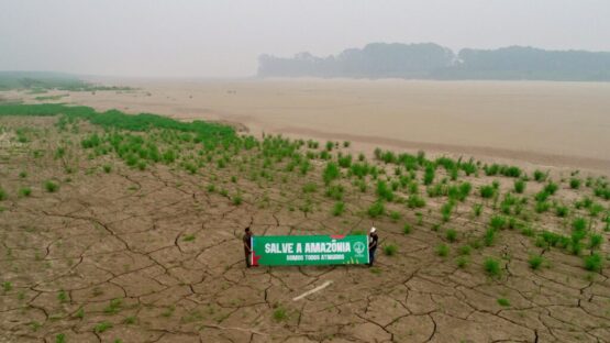 Foto: Luis Gabriel / MAB