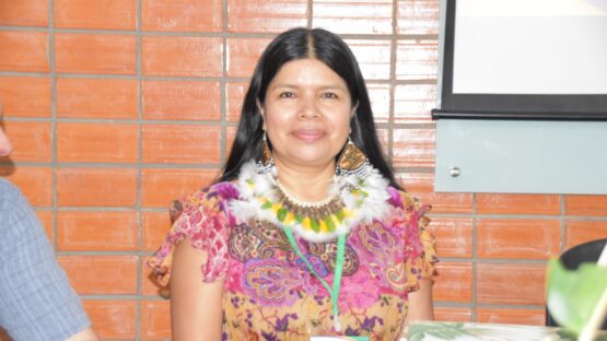 Padre Julio Caldeira