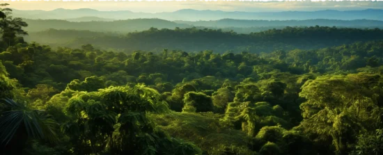 repam-cop30-bn08