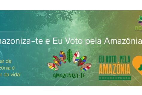 lançamento campanhas